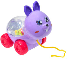 Load image into Gallery viewer, Tinytots Pull Along Animal
